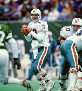 Picture of Dan Marino