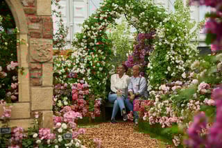 Picture of Chelsea Flower Show
