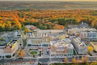 Picture of University of Connecticut