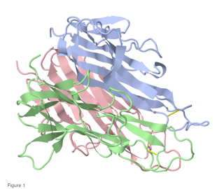 Picture of Tumor necrosis factor