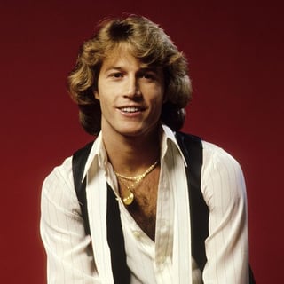Picture of Andy Gibb