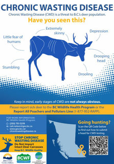 Picture of chronic wasting disease