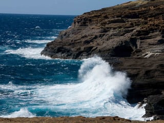 Picture of Coast