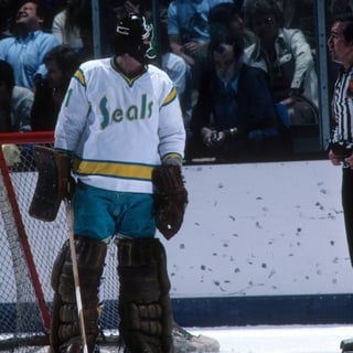 Picture of California Golden Seals