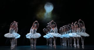 Picture of Swan Lake
