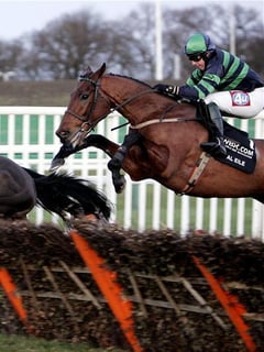 Picture of Jockey