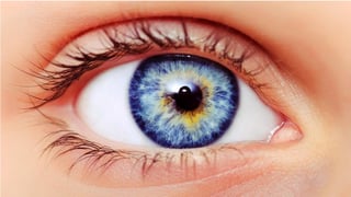 Picture of Naked eye