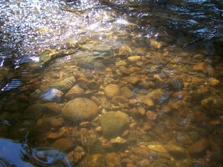 Picture of Stream bed