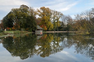 Picture of Prospect Park