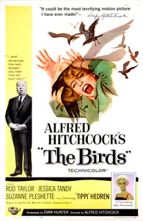 Picture of The Birds