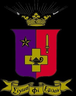 Picture of Sigma Phi Epsilon