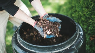 Picture of Compost