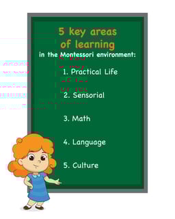 Picture of Montessori education