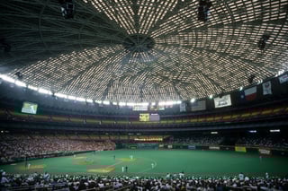 Picture of Astrodome