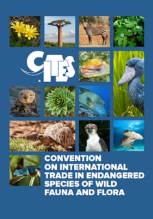 Picture of CITES
