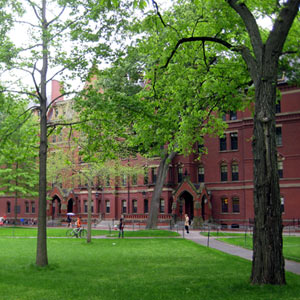 Picture of Harvard Yard