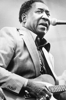 Picture of Muddy Waters