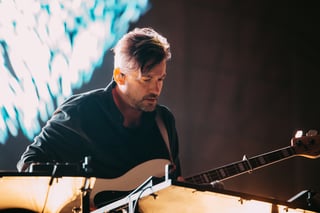 Picture of Bonobo