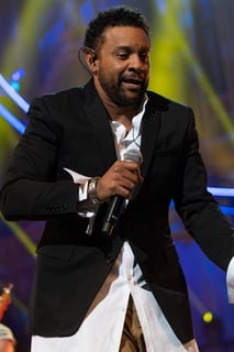 Picture of Shaggy