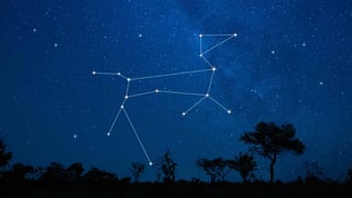 Picture of Canis Major