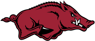 Picture of Arkansas Razorbacks