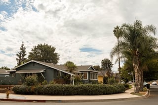 Picture of Reseda