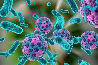 Picture of hepatitis A