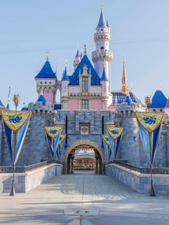 Picture of Disneyland Resort