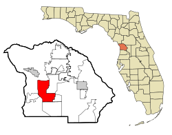 Picture of Homosassa