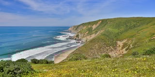 Picture of Point Reyes National Seashore
