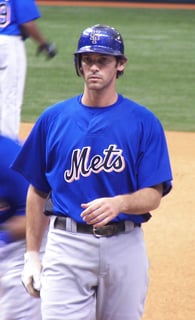 Picture of Shawn Green