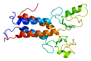Picture of BRCA1