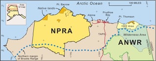 Picture of National Petroleum Reserve–Alaska