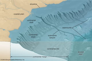 Picture of Continental shelf