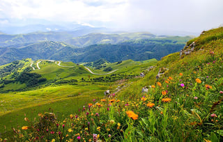 Picture of Terrain