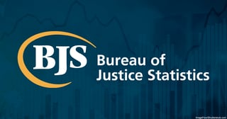 Picture of Bureau of Justice Statistics