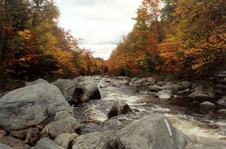 Picture of Carrabassett River