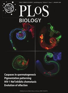 Picture of PLOS Biology