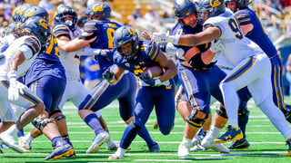 Picture of California Golden Bears football