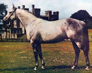 Picture of Dancer's Image