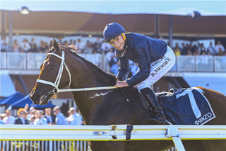Picture of Ryan Moore