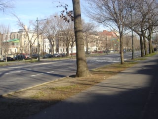 Picture of Eastern Parkway