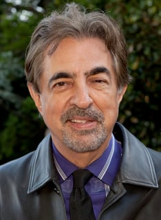 Picture of Joe Mantegna