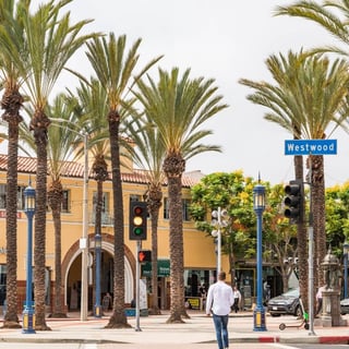 Picture of Westwood Village