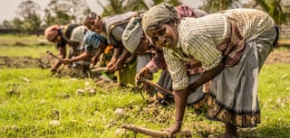 Picture of Rural development