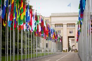 Picture of Multilateralism