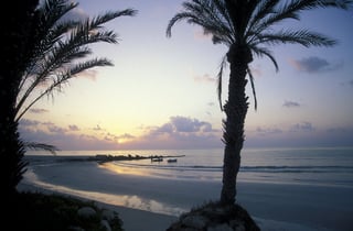 Picture of Djerba