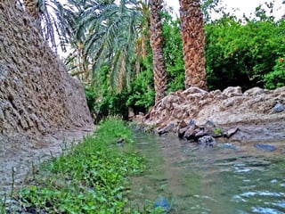 Picture of Saravan