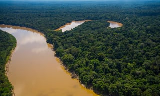 Picture of Javari Valley