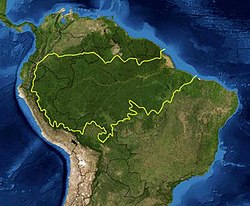 Picture of Amazon natural region